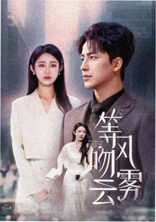 韩国禁欲系电视剧 我的解放日志